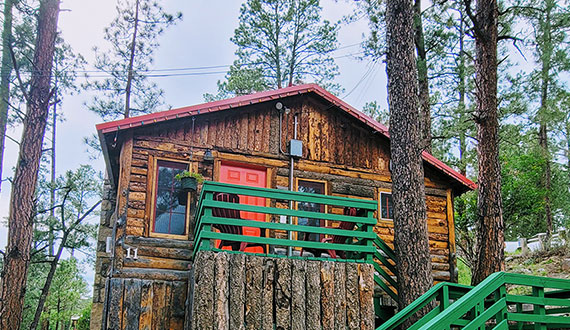 Cabin 11 Picture