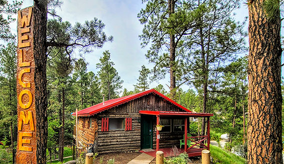 Cabin 12 Picture